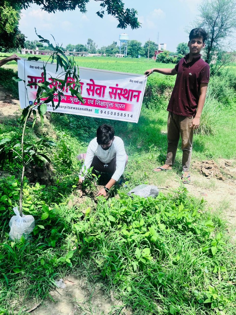 Ecological Balance & Care